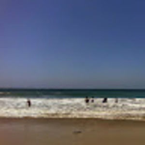 Meet your Posher, Lee